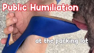 Public Humiliation at the parking lot MOBILE | Umiliazione Pubblica - Blasfemia