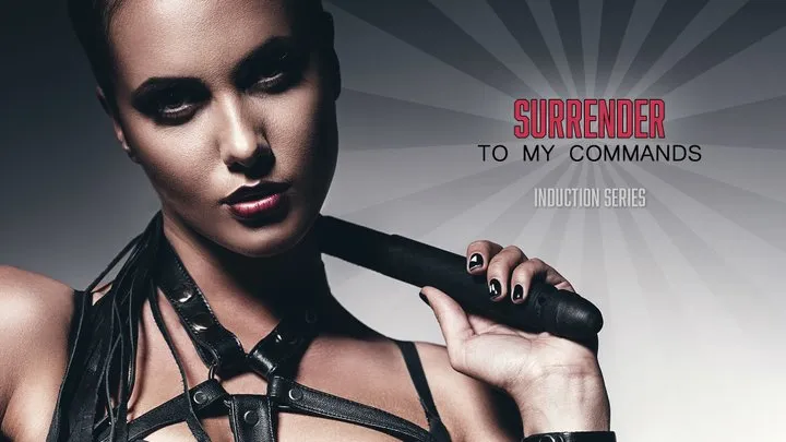 Surrender to My Commands MP3