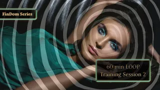 FinDom Training Session 2 60 min LOOP Programming