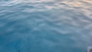 JusJ3a First Breaths Underwater