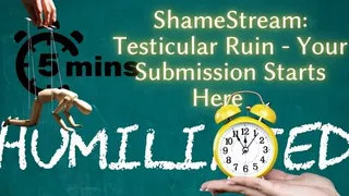 ShameStream: Testicular Ruin - Your Submission Starts Here