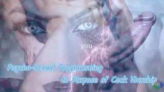 The NLP toolbox: Behavioral Recalibration and Psycho-Sexual Programming to Purpose of Cock Worship