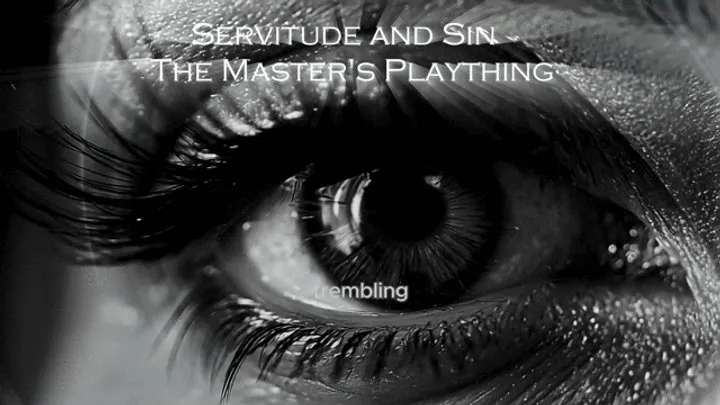 Servitude and Sin - The Master's Plaything