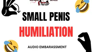 Small Penis loser humiliation audio with Mistress Deville