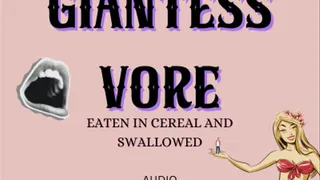 Giantess gets you to jump into a bowl of cereal before she has to swallow you whole Audio