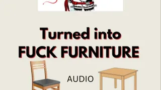 You are fuck furniture, an object of use AUDIO