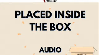 When toy isn't used it's boxed! AUDIO