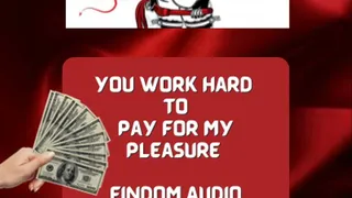 Hard FINDOM verbal demanding audio