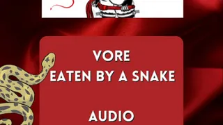 VORE Finally eaten by a snake AUDIO