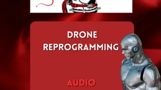 Drone reprogramming, enter the drone zone AUDIO