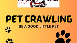 Good pets crawl for attention Audio with Mistress Deville