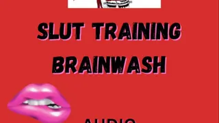 Slut training, anal vibrator brainwash with Mistress Deville Audio