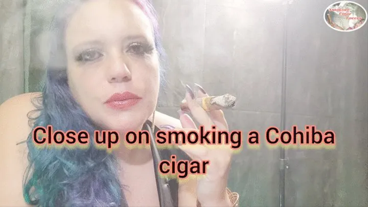Close up on smoking a Cohiba cigar - SCL006