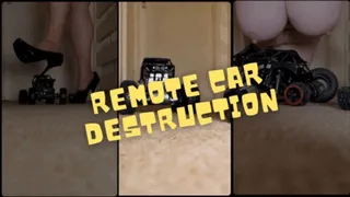 RC Toy Car Destruction