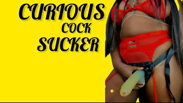 Curios Cuck Sucker