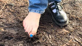 A walk in the woods get my feet muddy