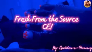 Fresh From The Source CEI