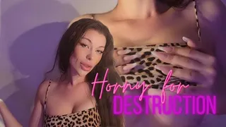 Horny For Destruction