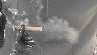 Smoking A Fat Asylum 13 Hercule Cigar