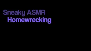 Sneaky ASMR Home Wrecking