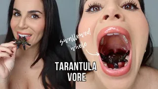 Tarantula vore with reverse endoscopic views - Lalo Cortez and Vanessa