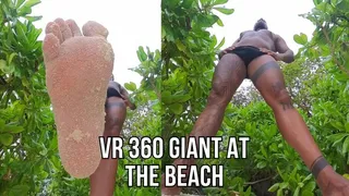 360 VR unaware giant at the beach - Lalo Cortez