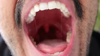 Natural light mouth tour | Mouth fuck fetish POV - Lalo Cortez