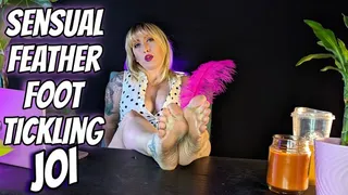 Sensual Feather Foot Tickling JOI