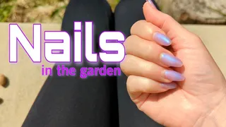 Nails in the Garden