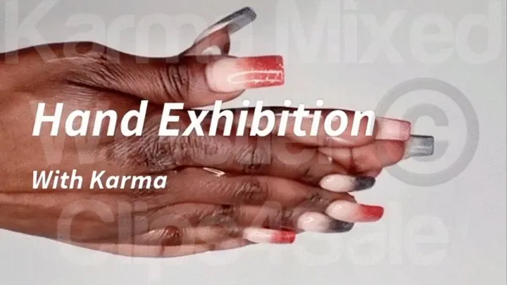 Hand Exhibition With Karma