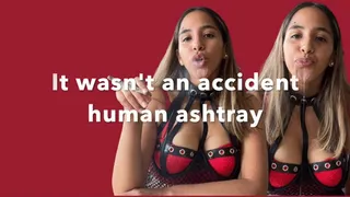 It wasn't an accident-human ashtray