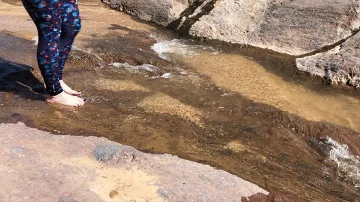 Webbed Toed Water Nymph