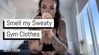 Smell My Sweaty Gym Clothes