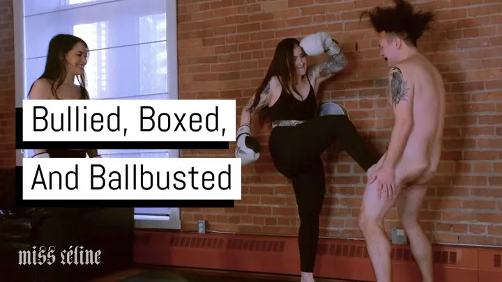 Bullied, Boxed, And Ballbusted | Ballbusting Sub Takes A Beating