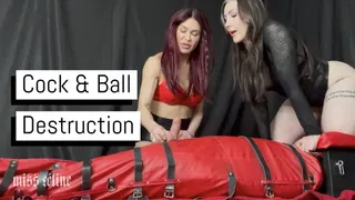 Cock & Ball Destruction | Double Domme Bondage Ballbusting
