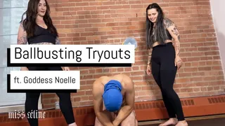 Ballbusting Tryouts | First Timer Gets Put To The Test