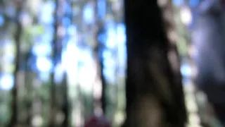 2nd Session in the woods - Clip 6