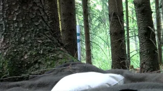 4th Session - Again in the woods - Clip 2