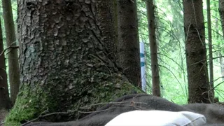 4th Session - Again in the woods - Clip 3