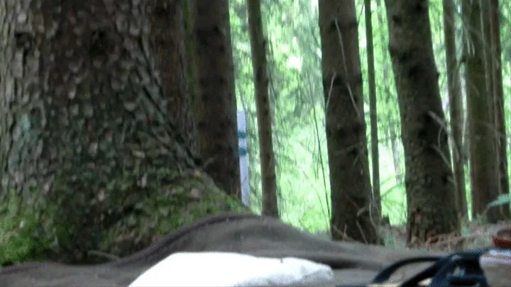 4th Session - Again in the woods - Clip 6