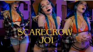 Scarecrow JOI
