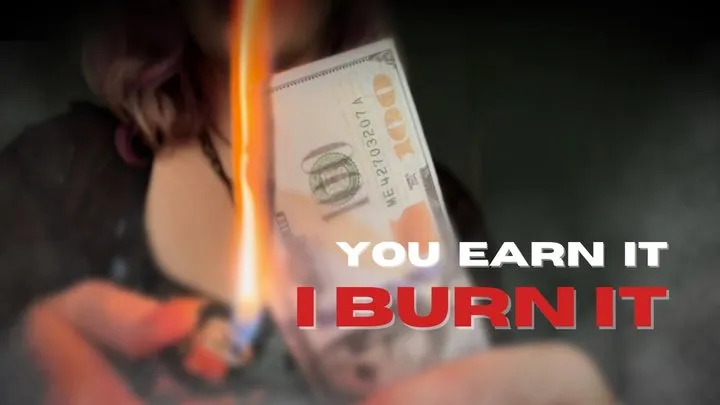 You Earn It, I Burn It