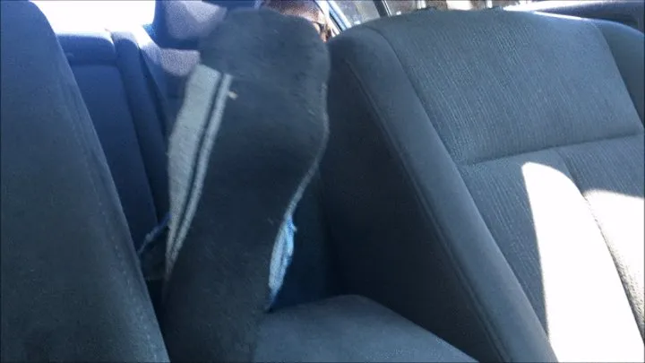 Ashley Car Soles