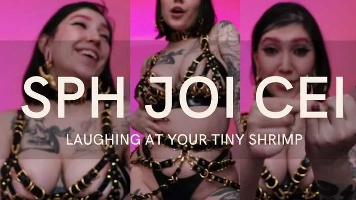 SPH JOI CEI:LAUGHING AT YOUR TINY SHRIMP by Devillish Goddess Ileana