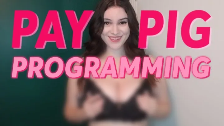 Paypig Programming