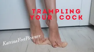 Cock trampling