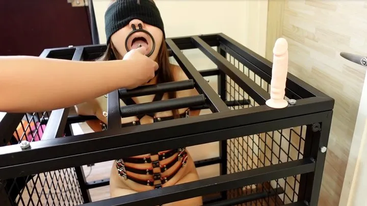 face fuck in the cage