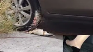Mean and sexy secretary runs over a cake with her car and patent office heels!