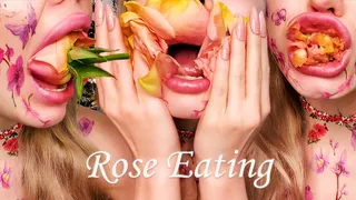 Rose Petal Delight