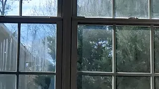 Vertical Mobile Friendly: Music-Version-Slo-Mo-Cumshot-in-Front-of-Window